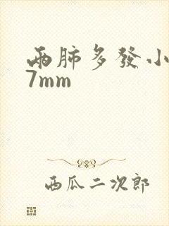 两肺多发小结节7mm