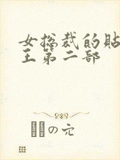 女总裁的贴身战王第二部