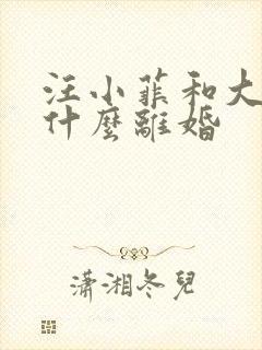 汪小菲和大s为什么离婚