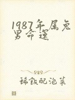 1987年属兔男命运封面