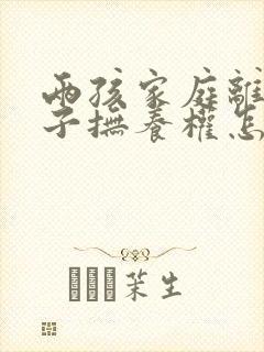 两孩家庭离婚孩子抚养权怎么判