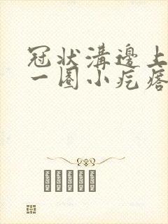 冠状沟边上起了一圈小疙瘩