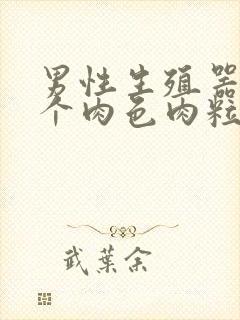 男性生殖器长出个肉色肉粒封面