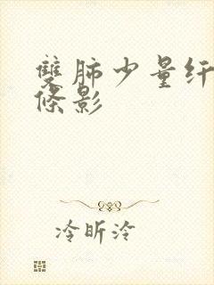 双肺少量纤维索条影