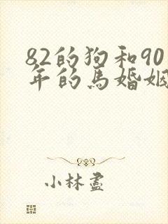 82的狗和90年的马婚姻相配吗