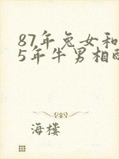 87年兔女和85年牛男相配婚姻如何