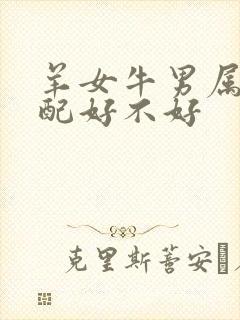 羊女牛男属相婚配好不好