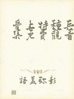 爱上特种兵45集免费观看封面