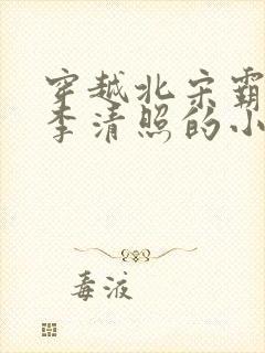 穿越北宋霸占了李清照的小说