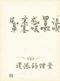 风寒感冒流鼻涕鼻塞咳嗽吃什么药