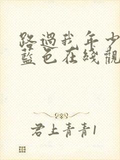 路过我年少时的蓝色在线观看全集