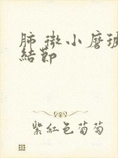 肺 微小磨玻璃结节