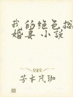 我的绝色总裁未婚妻 小说