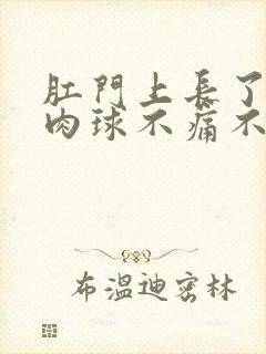 肛门上长了一个肉球不痛不痒封面