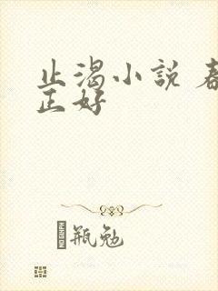 止渴小说 春光正好