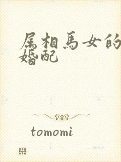 属相马女的最佳婚配