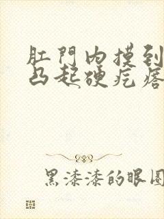 肛门内摸到一个凸起硬疙瘩封面