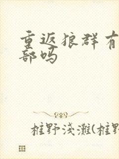 重返狼群有第二部吗