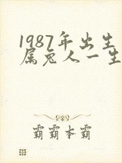 1987年出生属兔人一生的命运封面