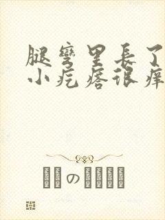 腿弯里长了好多小疙瘩很痒封面