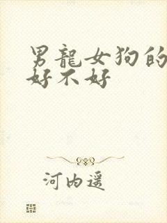 男龙女狗的婚姻好不好封面