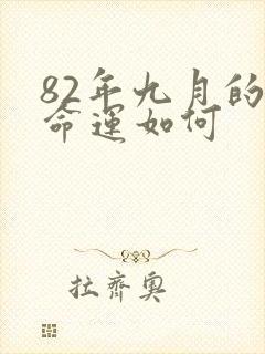 82年九月的狗命运如何