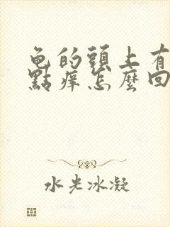 龟的头上有小红点痒怎么回事封面