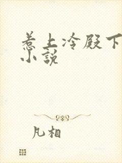 惹上冷殿下原著小说封面