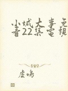 小城大事免费观看22集电视剧