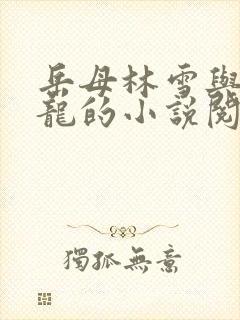 岳母林雪与赵小龙的小说阅读全文