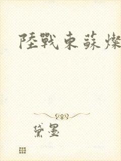 陆战东苏灿免费封面