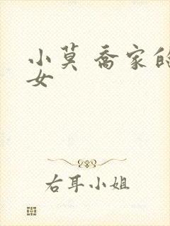 小莫 乔家的儿女封面