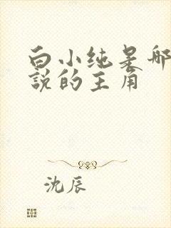 白小纯是哪部小说的主角