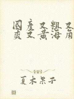 国产又粗又猛又爽又黄海角