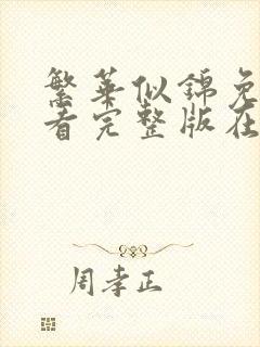 繁华似锦免费观看完整版在线观看封面