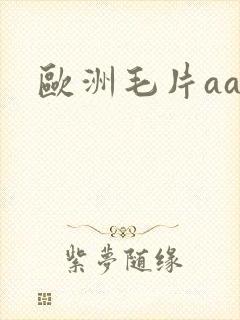 欧洲毛片aa