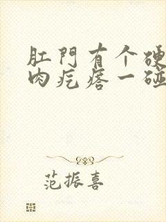 肛门有个硬硬的肉疙瘩一碰会疼