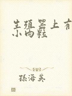 生殖器上有一个小肉粒