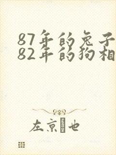 87年的兔子和82年的狗相配吗