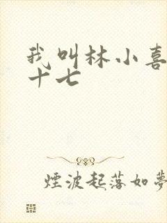 我叫林小喜今年十七
