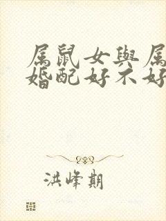 属鼠女与属牛男婚配好不好