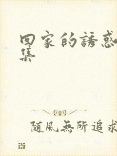 回家的诱惑多少集