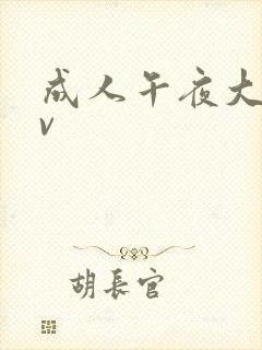 成人午夜大片av