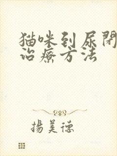 猫咪到尿闭最佳治疗方法封面