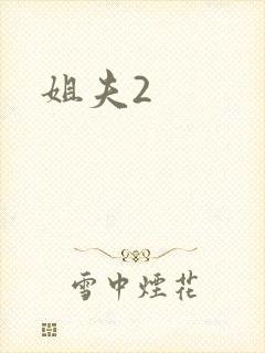 姐夫2