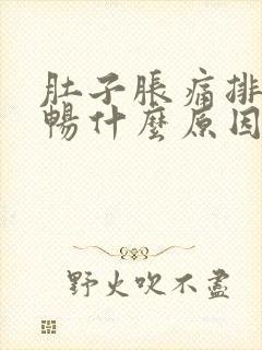 肚子胀痛排便不畅什么原因