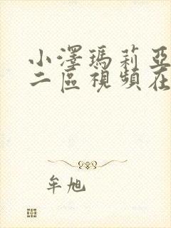 小泽玛莉亚一区二区视频在线封面