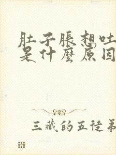 肚子胀想吐头晕是什么原因