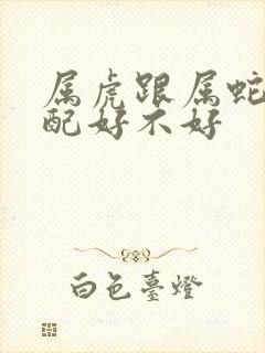 属虎跟属蛇的婚配好不好封面