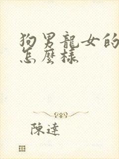 狗男龙女的婚姻怎么样